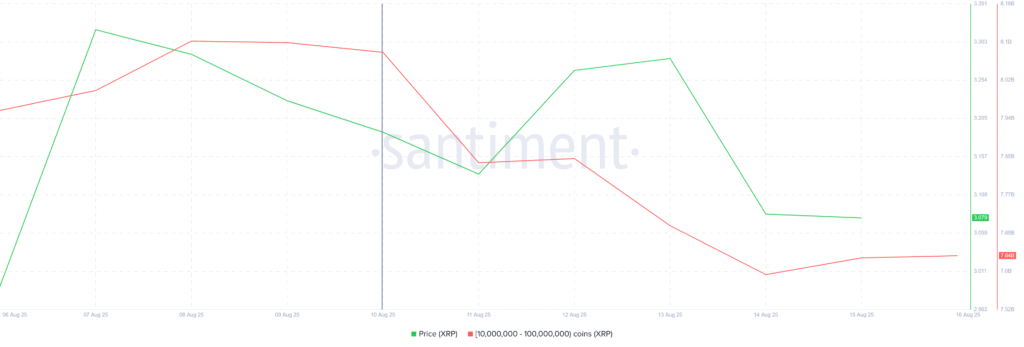 XRP Whale Holdings